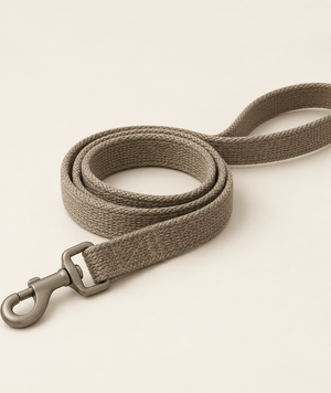 Dog Supplies collection at Yeha Maison