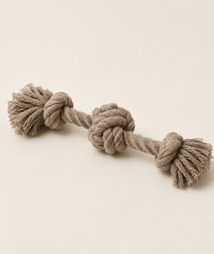 Pet Accessories collection at Yeha Maison