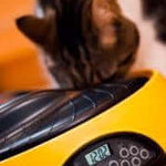 Fournitures pour animaux