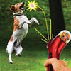 Catapulte pour nourriture pour animaux de compagnie, jouet amusant pour chien