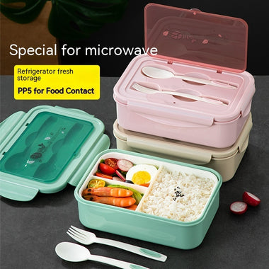 Microwave Heating Lunch Box | Rectangular Fruit Storage Container