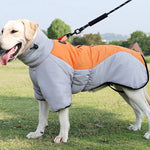 Manteau d'hiver imperméable pour chien, vêtement chaud et épais pour chien de taille moyenne et grande, veste personnalisée pour labrador
