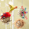 Jouet pour perroquet et oiseau, molaire rongeuse